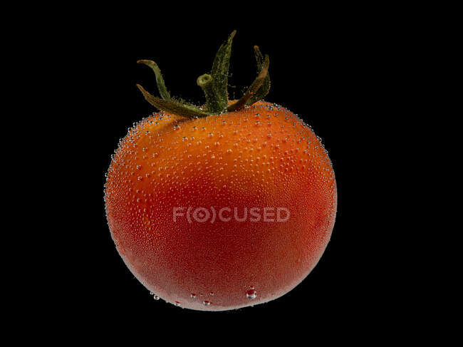 Tomato in water drops on black background — Stock Photo
