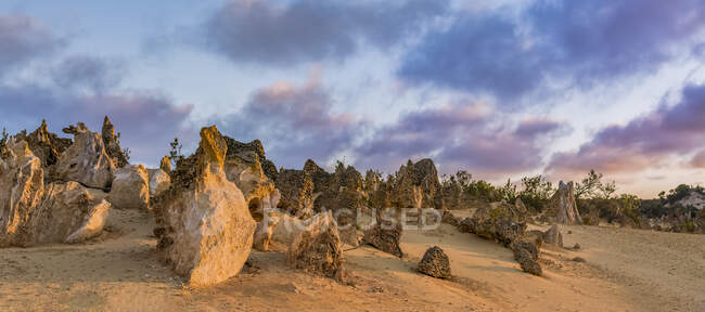 Pináculos en la luz del atardecer en el Parque Nacional Nambung, Australia Occidental. - foto de stock