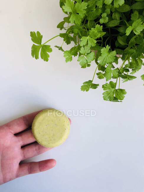 Top view of hand holding homemade shampoo bar and pot of parsley — Stock Photo