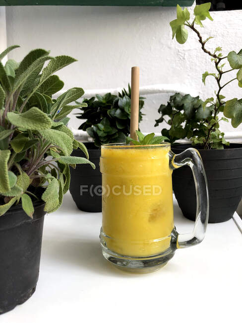 Smoothie de manga caseiro com palha de bambu ao lado de plantas em vaso — Fotografia de Stock