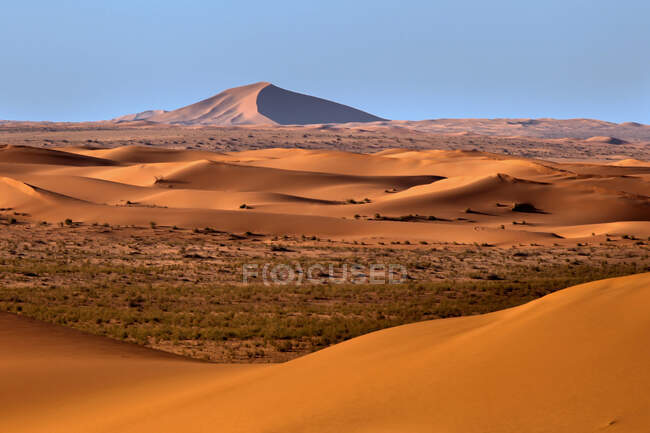 Піщані дюни в пустелі (Саудівська Аравія) — стокове фото