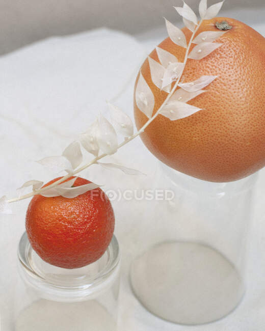 Pomelo y mandarina encima de un vaso con una flor seca - foto de stock