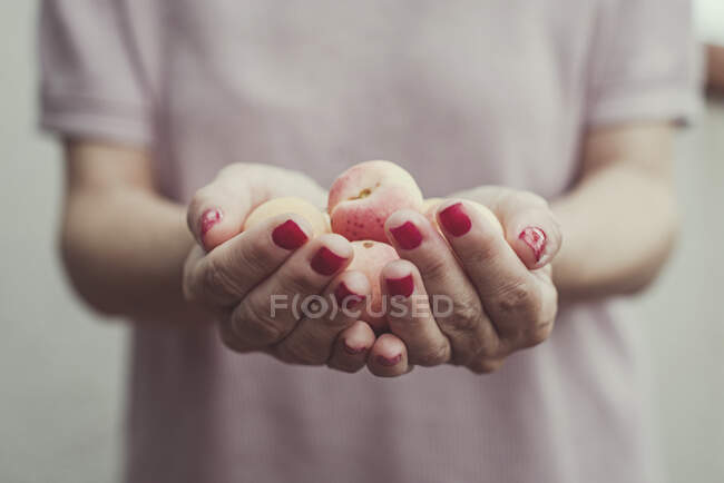 Close-up of a woman holding a handful of fresh apricots — Stock Photo