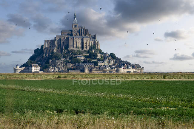 Uccelli che volano intorno al santuario di Mont Saint Michel, Normandia, Francia — Foto stock