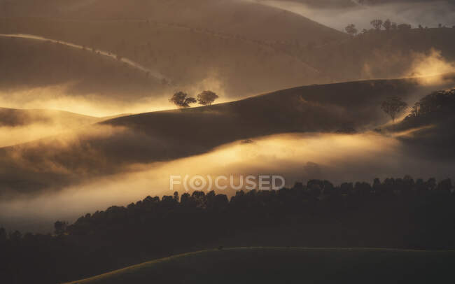 Mist over rolling landscape at sunrise — Stock Photo