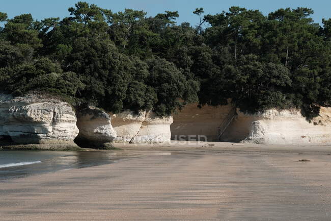 Paesaggio costiero, rocce bianche con vegetazione sul mare — Foto stock