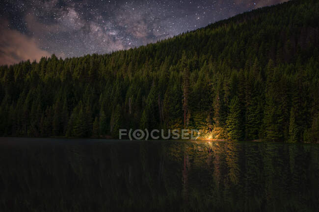 Hoguera en la orilla del lago por el bosque por la noche con cielo estrellado - foto de stock