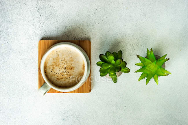 Copa de café lechoso junto a dos plantas en la mesa - foto de stock