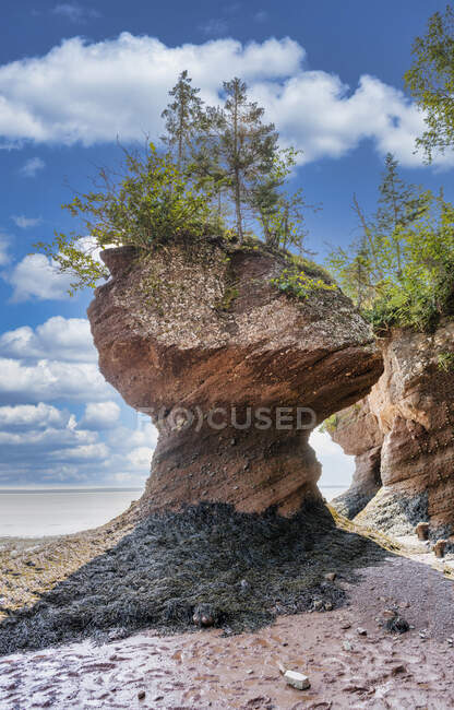 Flowerpot Rocks with blue cloudy sky on background, Hopewell Rocks Provincial Park, New Brunswick, Canada — Stock Photo