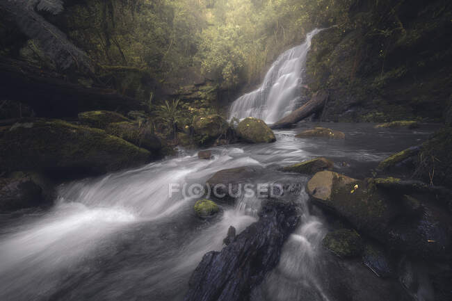 Waterfall and river in rainforest, long exposure shot — Stock Photo