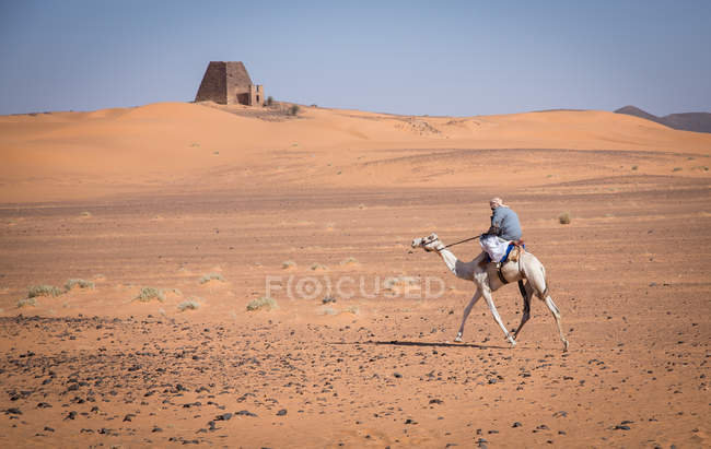 Hombre en un camello en un desierto - foto de stock