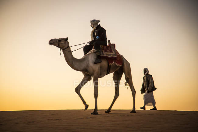 Hombre en un camello en un desierto - foto de stock