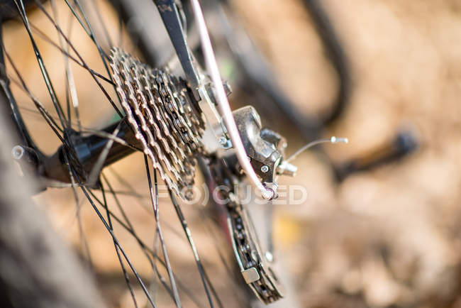 Заднє колесо велосипеда — стокове фото