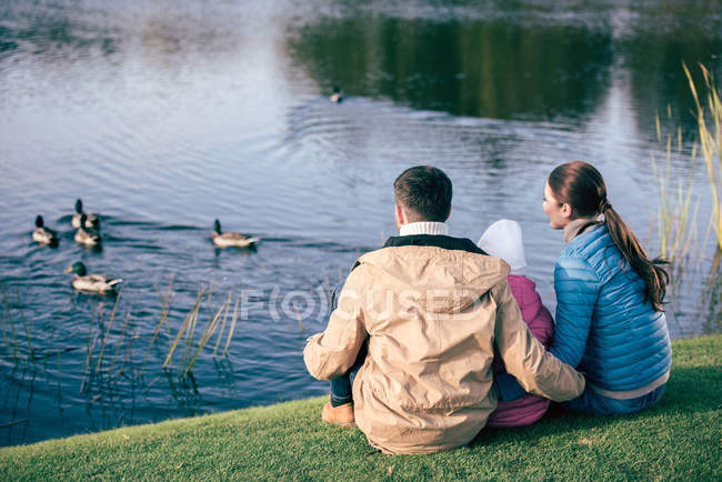 Família olhando para lago com patos — Fotografia de Stock