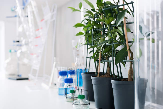 Herramientas científicas en el laboratorio - foto de stock