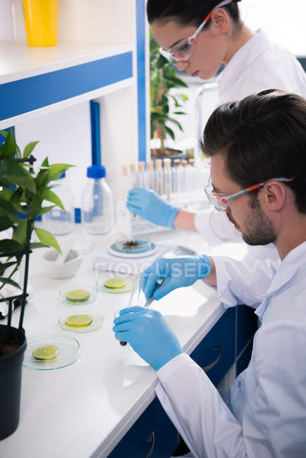 Wissenschaftler bei der Arbeit im Labor — Stockfoto