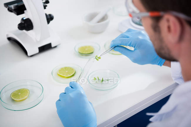 Científico masculino en laboratorio - foto de stock