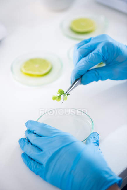 Científico durante el trabajo en el laboratorio moderno - foto de stock