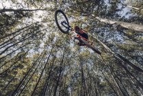 Vista dal basso dello sportivo che salta con la bici nella foresta — Foto stock