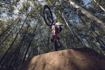 Вид знизу екстремального спортсмена стрибає з гірським велосипедом — стокове фото